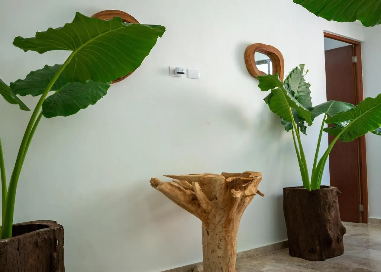 Recamara 1 Cancun Homestay
