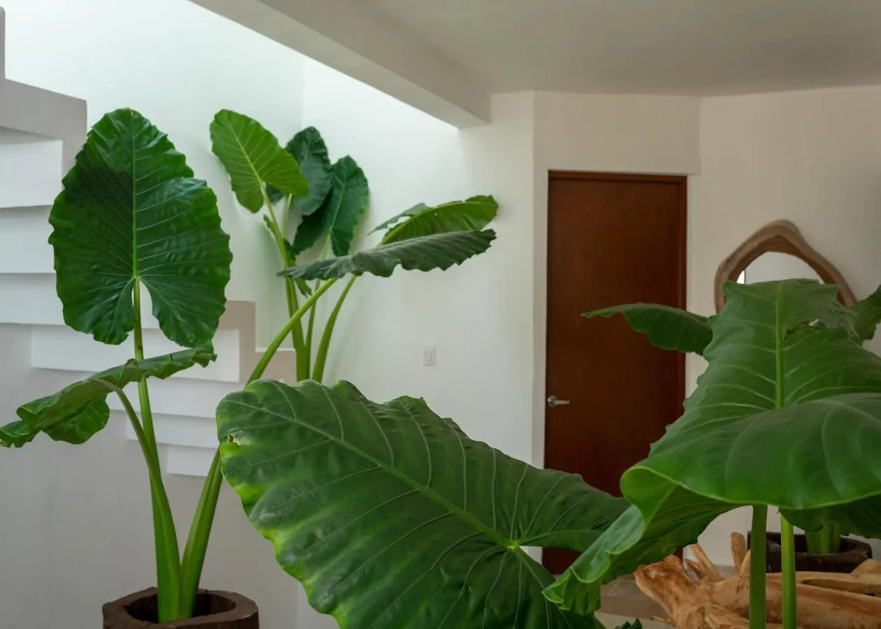Recamara 1 Cancún 0*,  Mexique